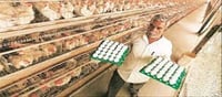 Food crisis in Sri Lanka...!? 2 million eggs from India!